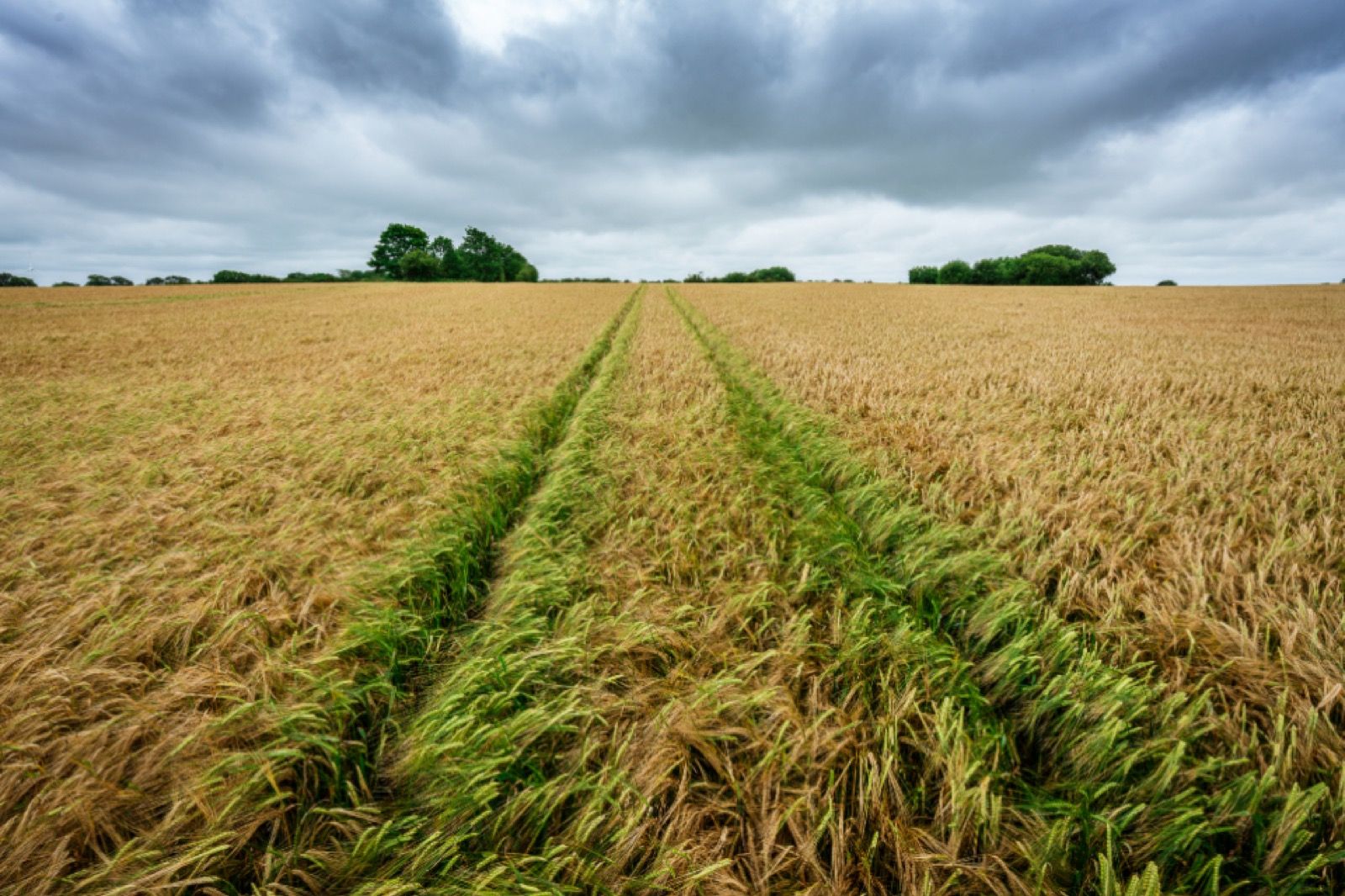 Qualifying rural leads: separating buyers from tyre-kickers automatically