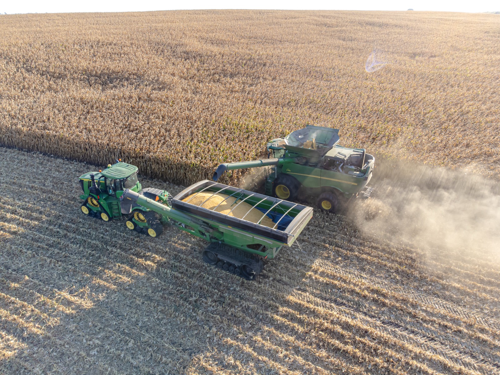 Combine harvester working an Australian grain paddock at harvest