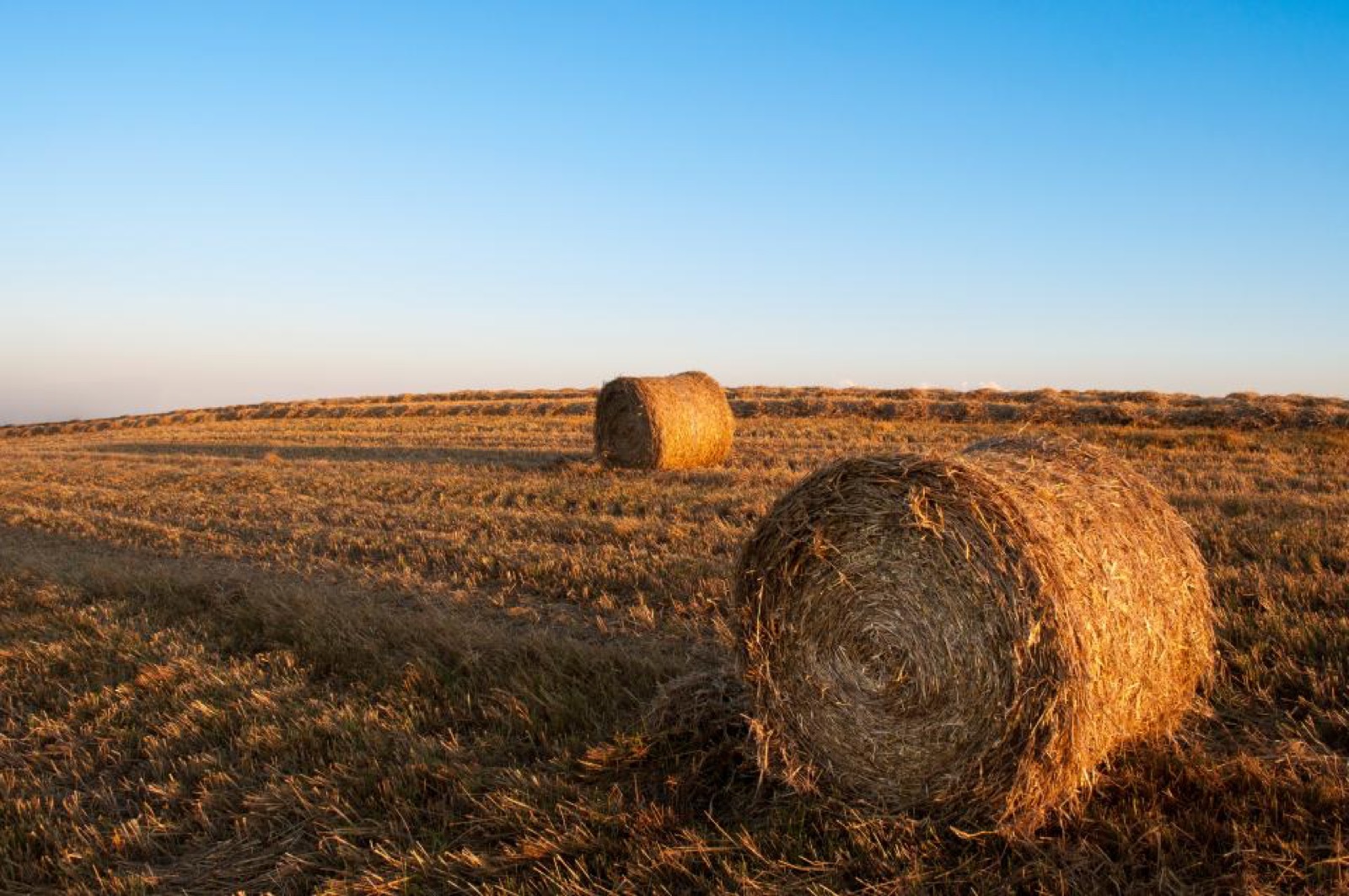 When to scale spend in agriculture marketing, and when to hold