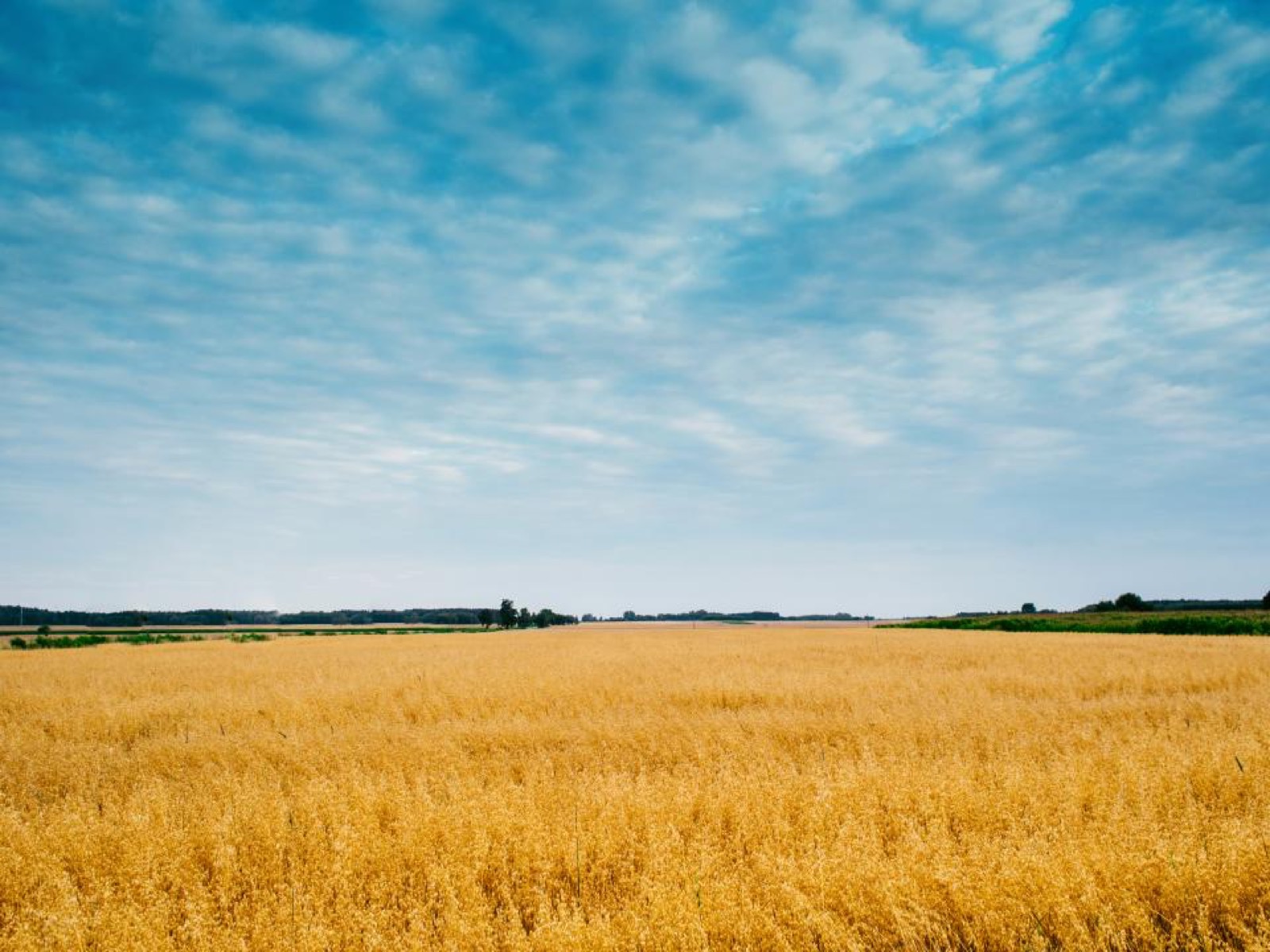 Retargeting farm equipment buyers: the campaigns most dealers miss